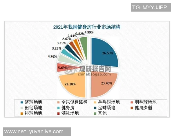 南京乒乓球队技术深度解析与训练方法探讨