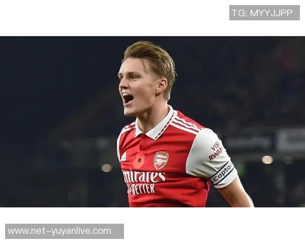 厄德高在国际赛场的崛起与未来发展潜力分析