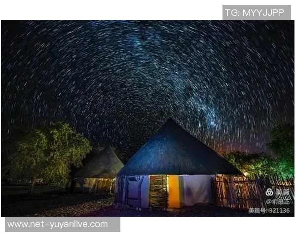 李泓澎的艺术之路探索与成就分享：从初心到梦想的追寻与坚持